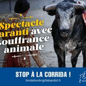 "Spectacle garanti avec souffrance animale": la fondation Bardot en campagne contre la corrida