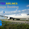 How to manage United Airlines Manage Booking