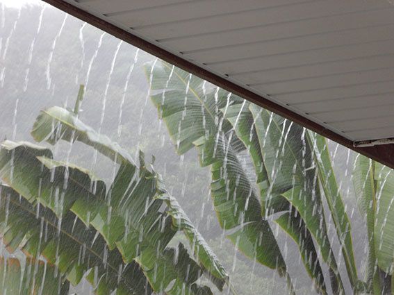 En images, les étapes d'une averse tropicale : vent de pluie, barre de nuages, rideau de pluie, torrents d'eau, retour du soleil... Photos (c) Brittia Guiriec