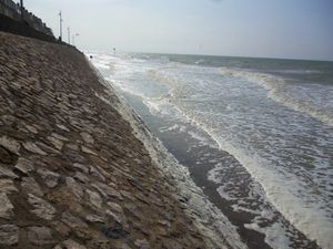 20 septembre Baie d'Authie 220km