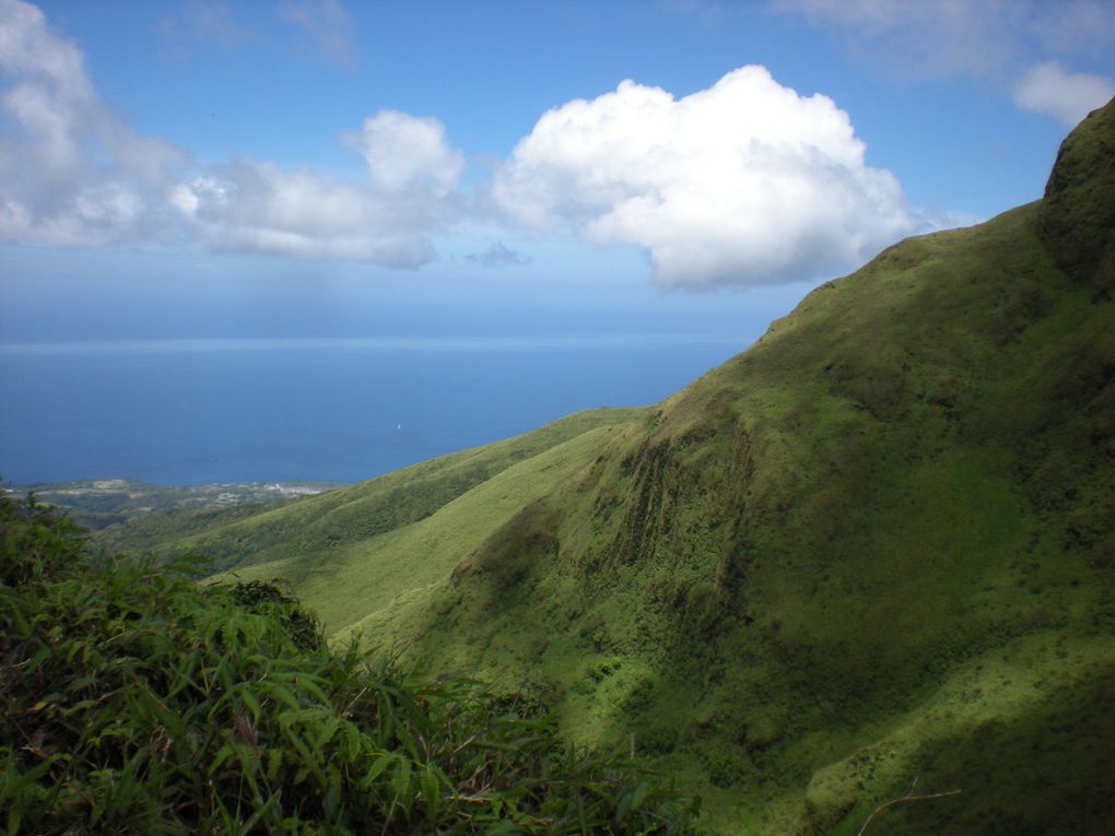 Album - Martinique 2011 - Montagne-Pelee