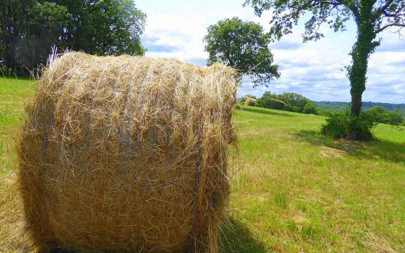 Brouelles en douce le 6 juin