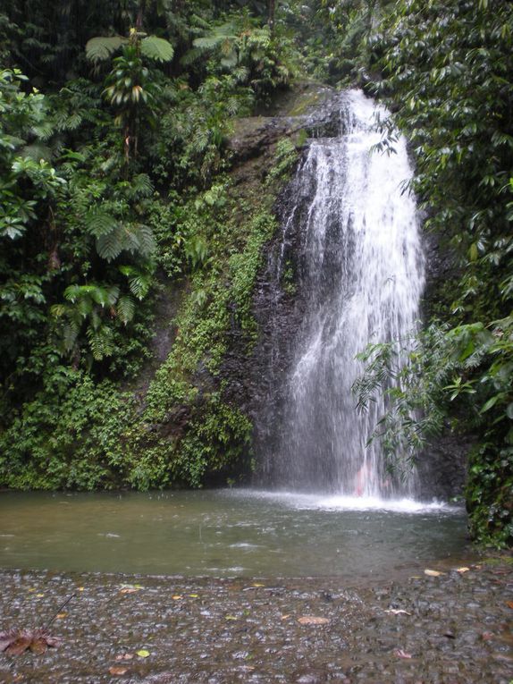 Album - Martinique 2011 - Excursions