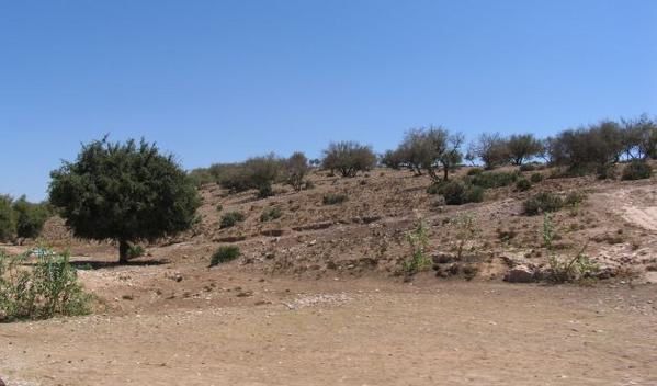 Notre route de Casa à Essaouira en passant par la côte, puis par l'arrière-pays d'Essaouira