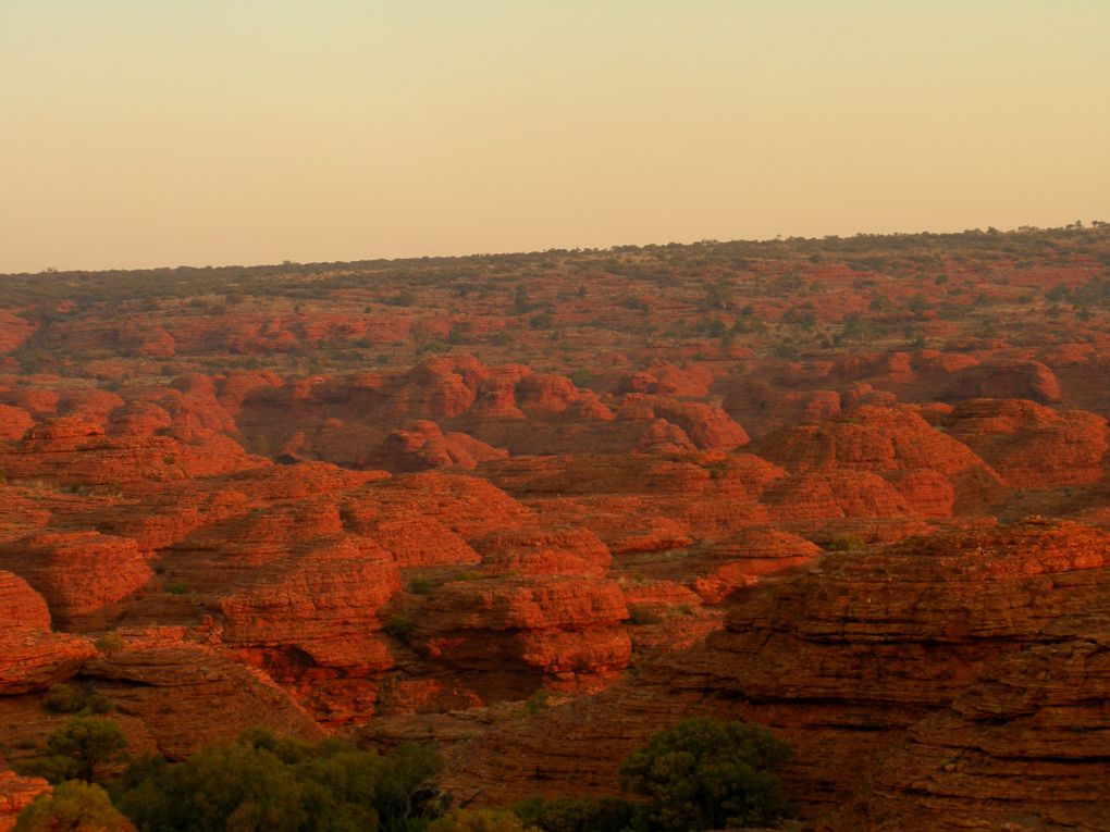 Voyage au coeur de l'Australie et des Aborigènes