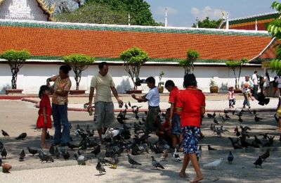 Petite balade à Nakhon Si Thammarat