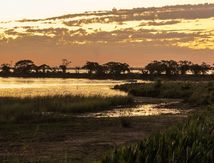 Argentine 2 : Étangs de l'Iberá