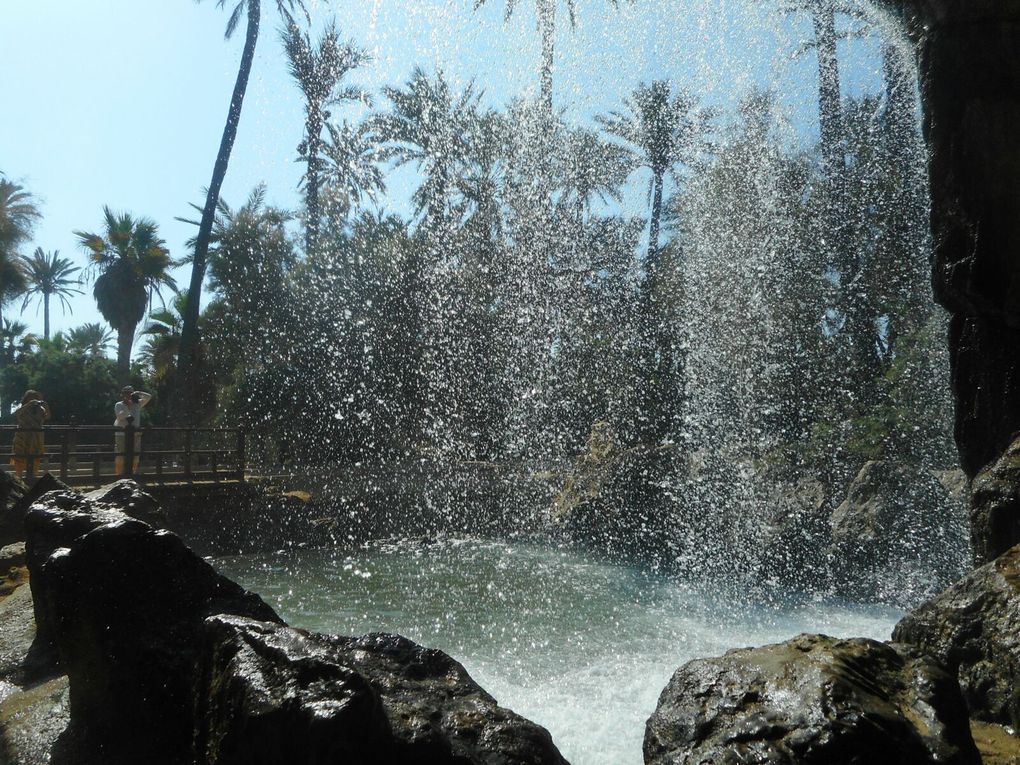 Parc El Palmeral.