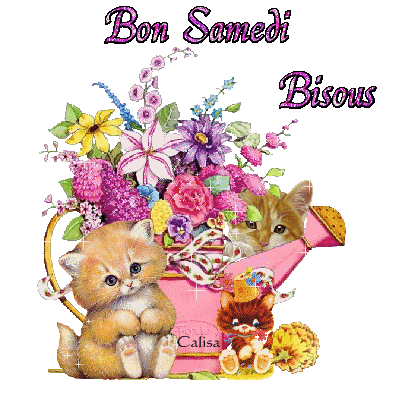 Bonjour/bonsoir de mai 2021 Image%2F0980383%2F20210328%2Fob_f26d22_ob-531d9e-bon-samedi
