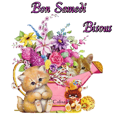 Gifs Samedi Le Monde Des Gifs