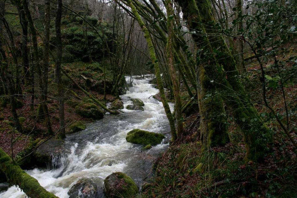 Belles photos de Cornil Vansteene : les gorges de la canche en crue et le saut de la canche : la cascade ! La randonnée des gorges de la Canche est une des ballades les plus agréables à réaliser dans le Morvan. La forêt est belle et à chaque détour du sentier on peut tomber sur de jolies petites cascades.