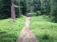 Depuis les Crêtaux, on prend le chemin qui monte en direction de la Croix de Jean-Pierre via Pra de Dzeu.