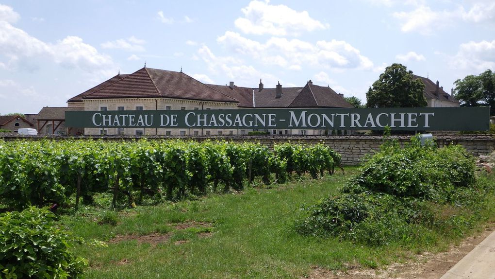 Visite et dégustation au Chateau de Chassagne-Montrachet