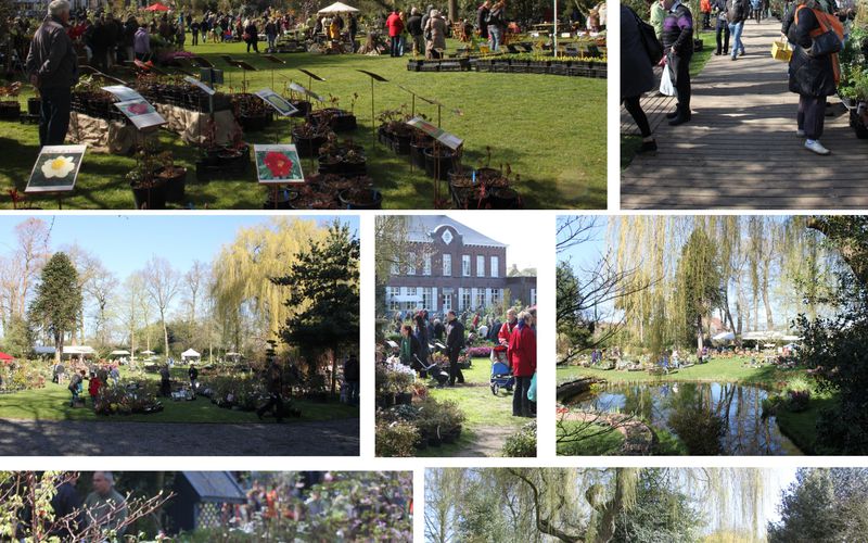 Une bien belle journée ... la fête des plantes de Celles