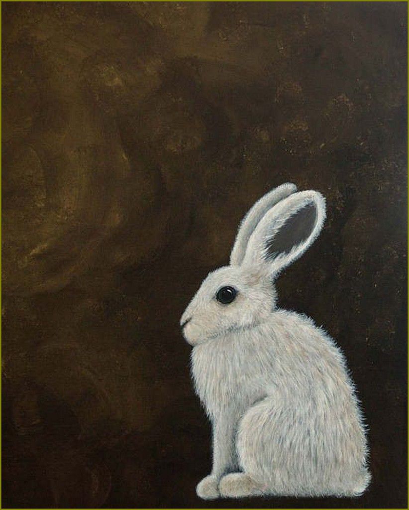 lapins, lièvres en peinture et illustrations -  Deborah Sheehy