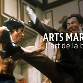 Arts Martiaux - Culture et pop | ARTE