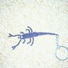 Le Scorpion / Offert