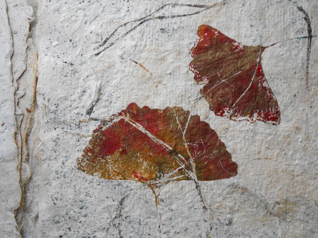 livre réalisé en papier japon texturé avec des matériaux de la presqu'île , les illustrations sont des monotypes dont un sur une feuille transformée par Viviane Fontaine, la couverture est en d'amadouvier