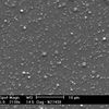 SEM analyses - Microscope électronique - Rétrodiffusés/back scattered electron