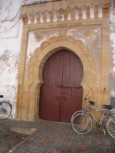 quelques 106 photos d'Essaouira, de son port, de ses mouettes et de ses chats plus ou moins mités