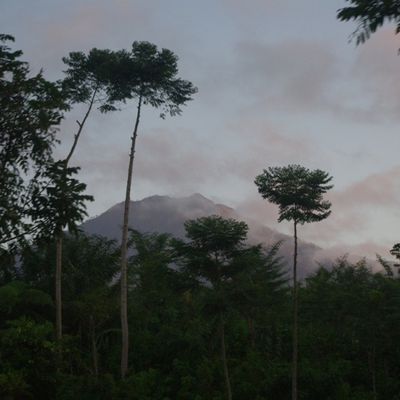 Java : Le volcan Kawah Ijen