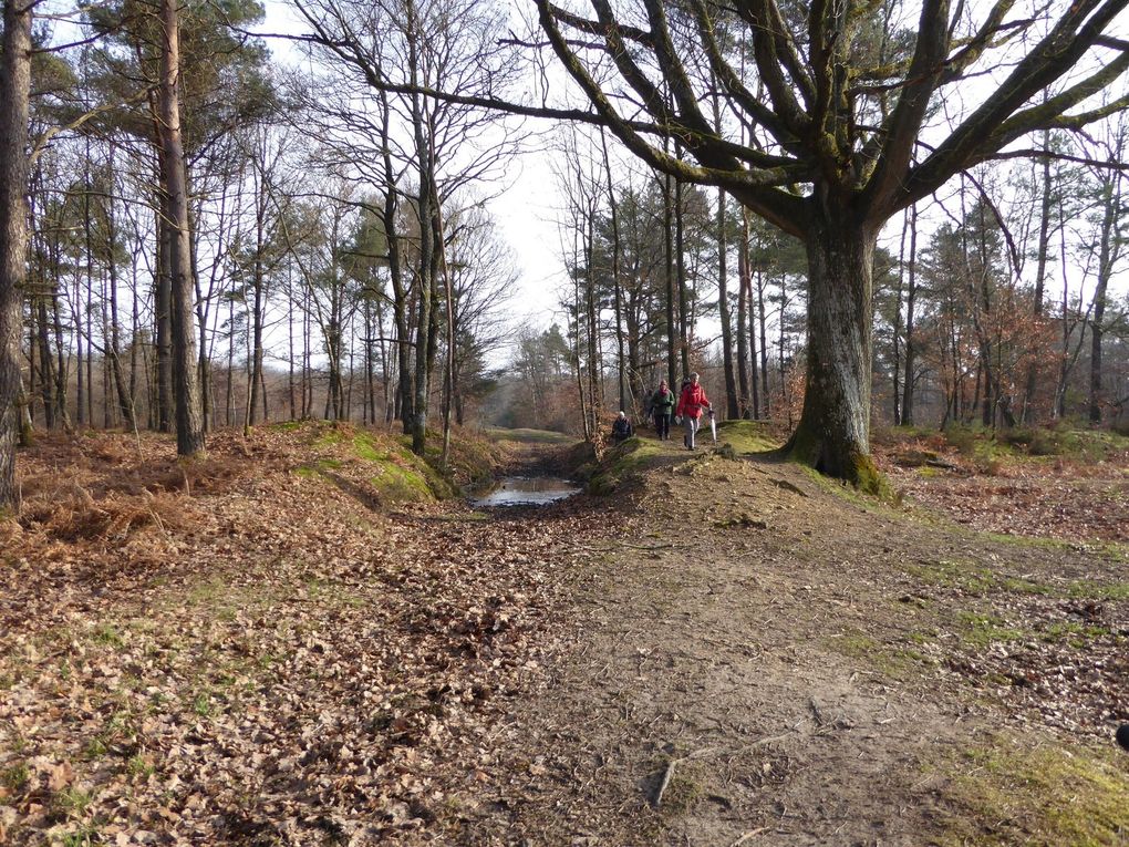 Randonnée, boucle du Perray-en-Yvelines. 21,5 km