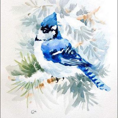 Oiseaux en peinture -  Maria Stezhko