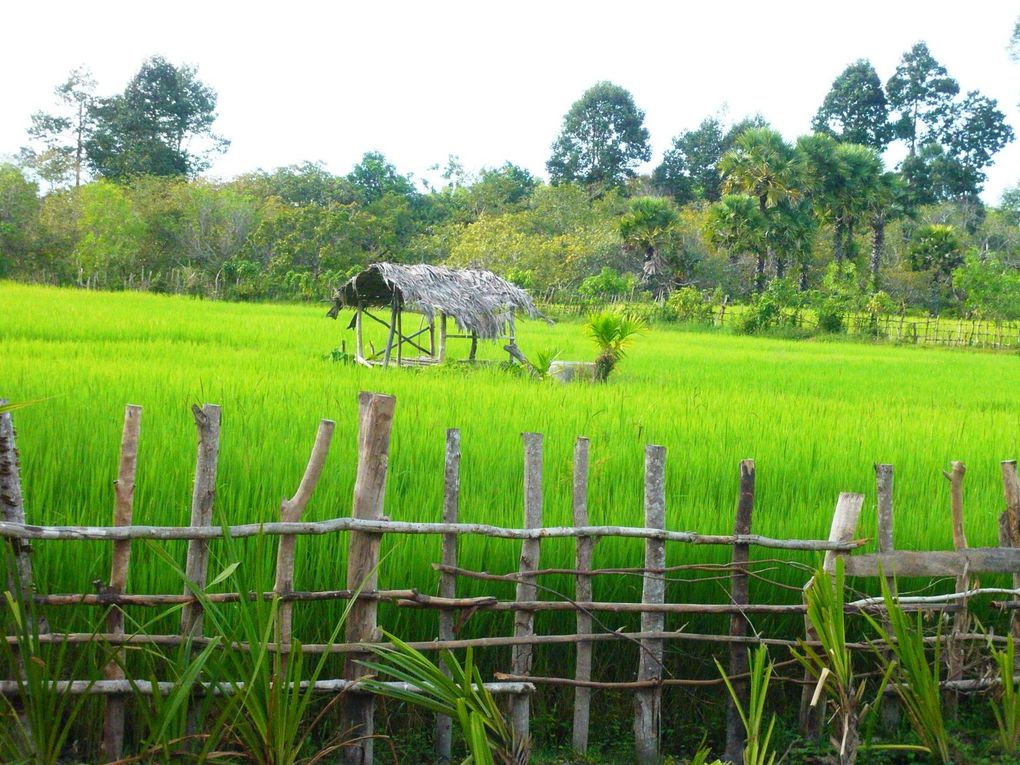 Album - Siem-Reap