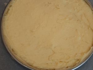 Tarte myrtilles et crème pâtissière 