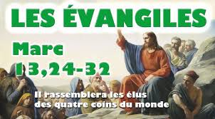 Evangile du Dimanche 14 Novembre « Il rassemblera les élus des quatre coins du monde » (Mc 13, 24-32) #parti2zero #evangile