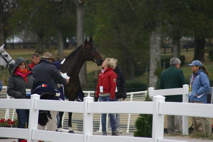 Album - CSO-jumping-Meredith-Michaels-beerbaum