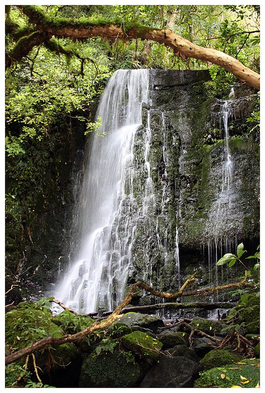 Album - New Zealand : ile du sud