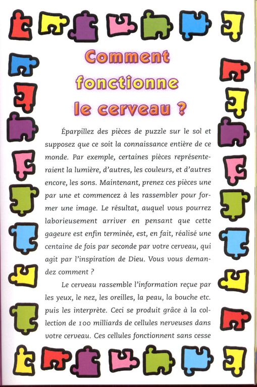 Album - (4) Comment fonctionne le cerveau ?