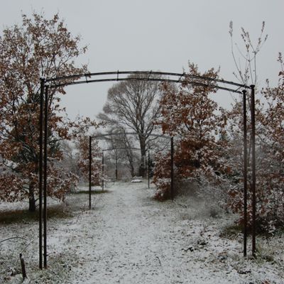 Neige de janvier vaut fumier!