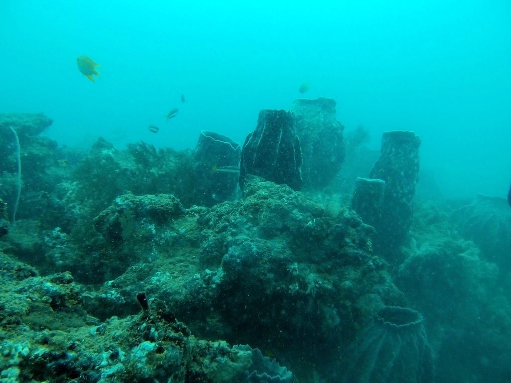 paysages sous marin autour de Cubadak