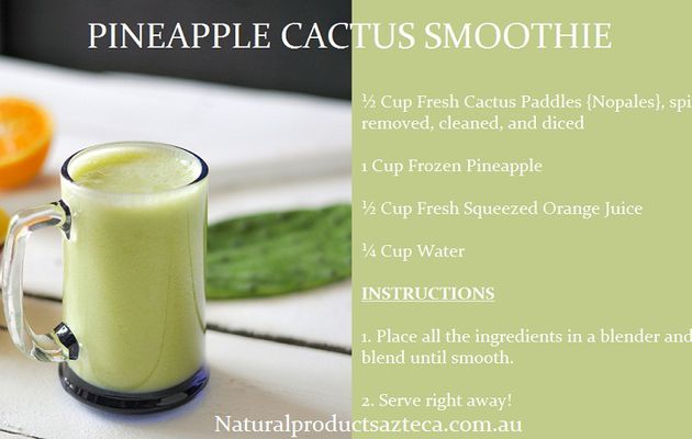 Relish the Health Benefits of Nopal Cactus Powder with Easy Recipes