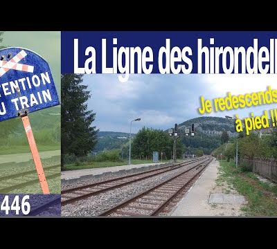 un voyage sur la ligne des hirondelles