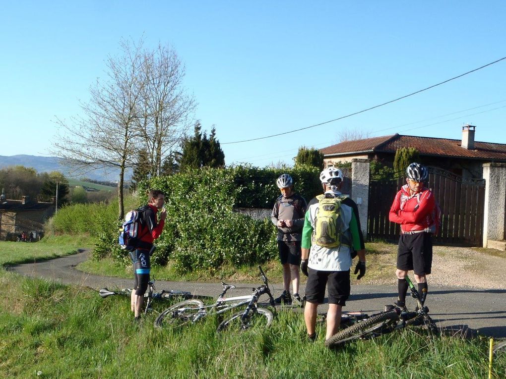 Rando 55 km "entre vigne et pierres dorées"