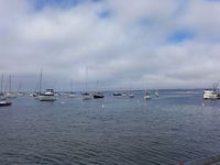 Autres photos de Monterey