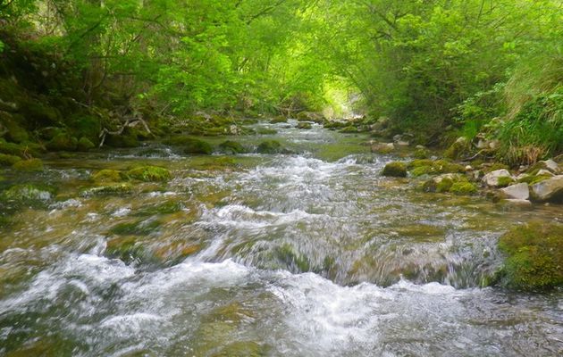 Enquête en ligne sur la pêche de loisir dans la Drôme