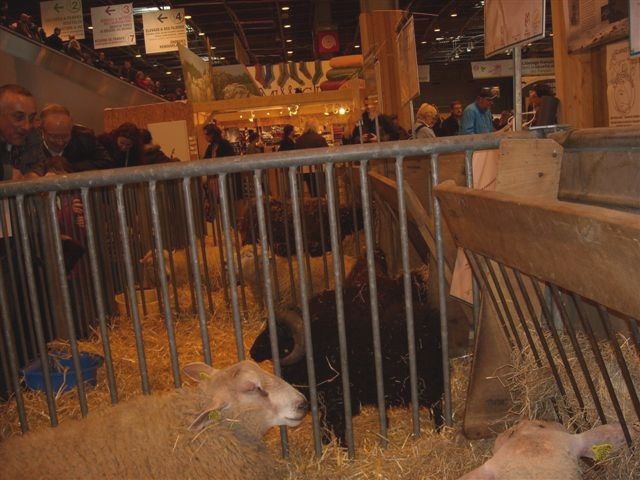 Album - Salon-International-de-l-Agriculture-2010