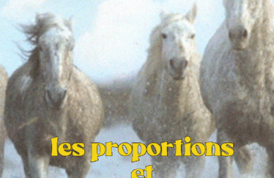 Dessin et peinture - vidéo 4482 : Comment connaitre les proportions et les notions de base pour dessiner ou peindre un cheval ? - Pastels et autres médiums.