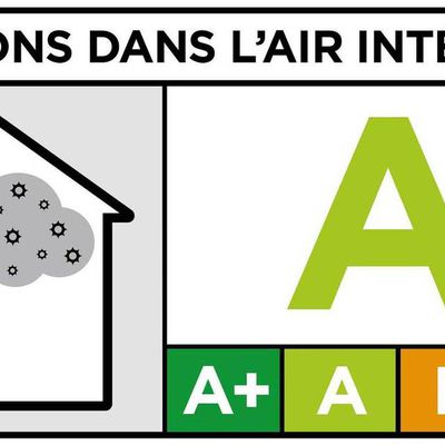 Qualité de l'air : les ions négatifs