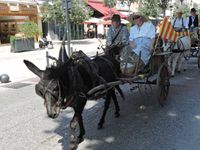 Cavaillon, la féria du melon  (1/2)