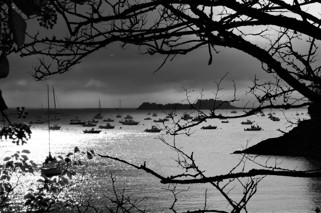 Les &quot;bancales&quot; à Cancale 