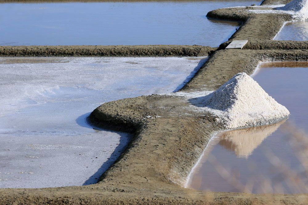 Terre de sel - Les marais salants de Guérande