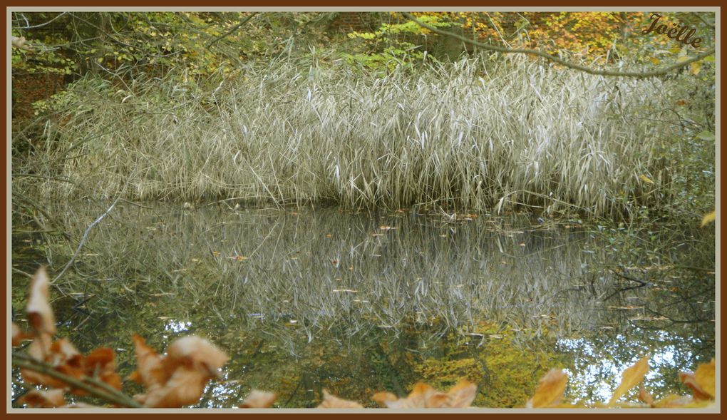 Album - Parc de Tervueren