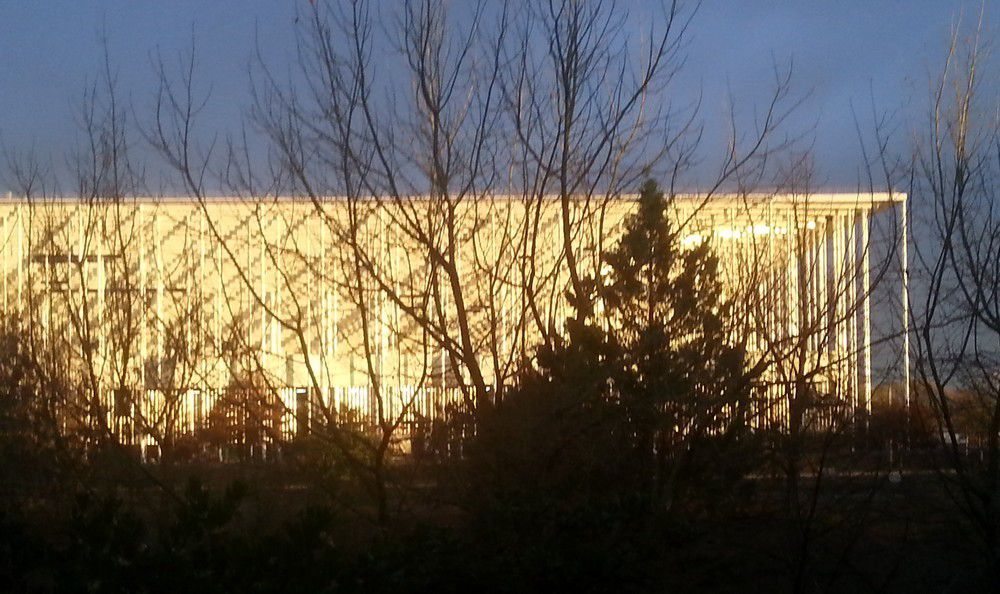 Le nouveau stade de Bordeaux aura une pelouse sans terre...