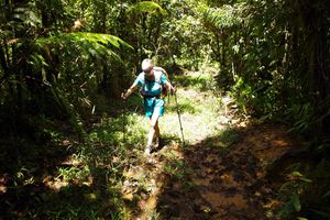 GUADELOUPE - MAMELLE DE PIGEON - MORNE LEGER