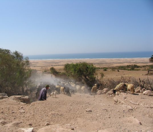 Notre route de Casa à Essaouira en passant par la côte, puis par l'arrière-pays d'Essaouira